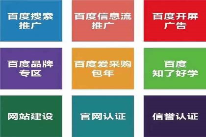 百度竞价公司成功案例：如何实现ROI最大化